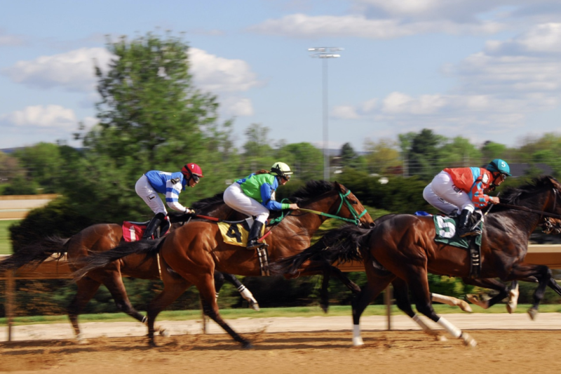 Why the Preakness Stakes Is a Must-Bet Race This Year